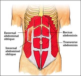 How can I treat my diastasis rectus abdominis or abdominal separation?